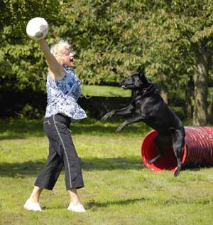 Obediencia básica se puede entrenar jugando